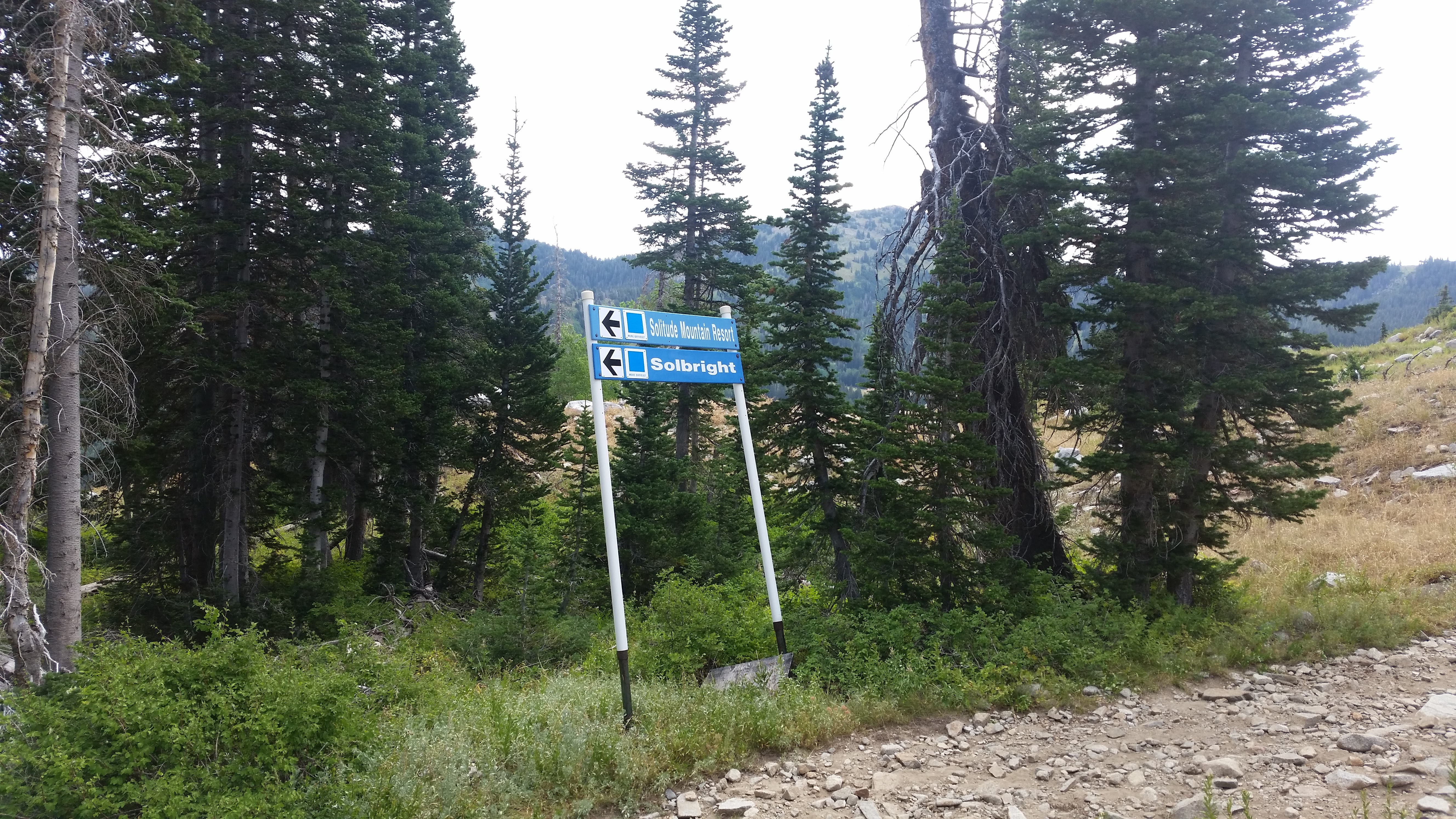 Snowbird – Utah · 2016